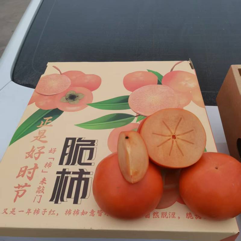 阳丰巧克力脆柿子精品脆柿产地直发口感脆甜量大优惠