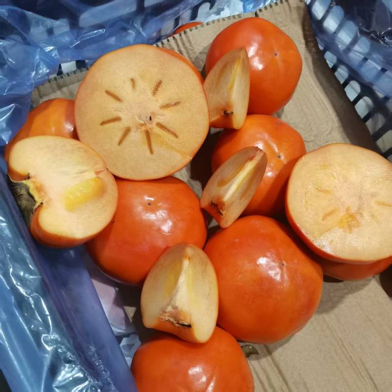阳丰巧克力脆柿子精品脆柿产地直发口感脆甜量大优惠
