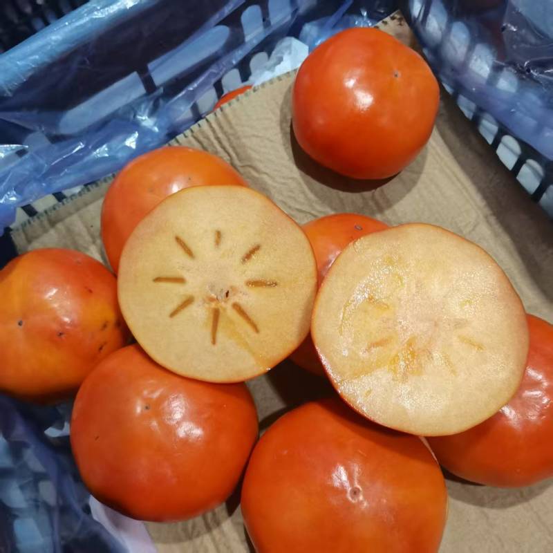 阳丰巧克力脆柿子精品脆柿产地直发口感脆甜量大优惠