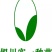 自根康乐6号金花6号金花1号各种西瓜自根苗