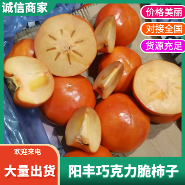 脆柿阳丰巧克力脆柿子产地直供对接商超电商市场