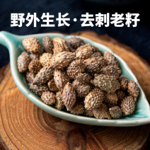寻百草野生苍耳子中药材苍耳去刺苍耳子苍棵子苍郎种