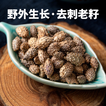 寻百草野生苍耳子中药材苍耳去刺苍耳子苍棵子苍郎种
