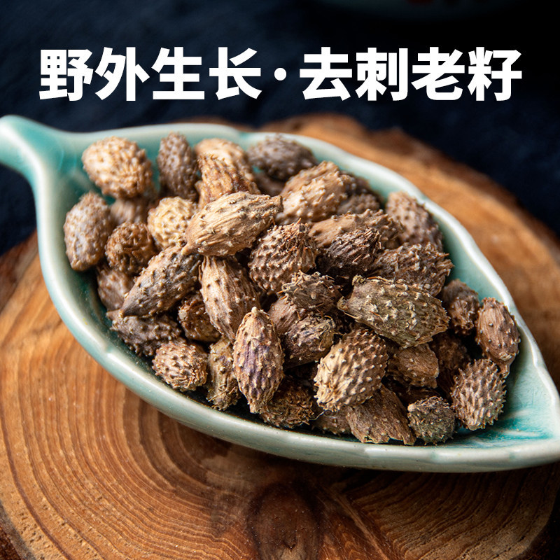 寻百草野生苍耳子中药材苍耳去刺苍耳子苍棵子苍郎种