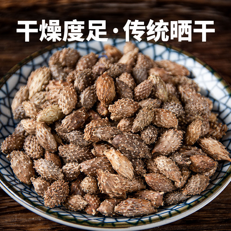 寻百草野生苍耳子中药材苍耳去刺苍耳子苍棵子苍郎种