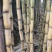 广西黄皮甘蔗基地一手货源对接电商市场商场可视频看货