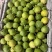 精品钦蜜9号百香果产地直采大量有货品种多样规格多样进店咨询