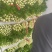 山东芹菜精品西芹基地一手货源大量供应可视频看货