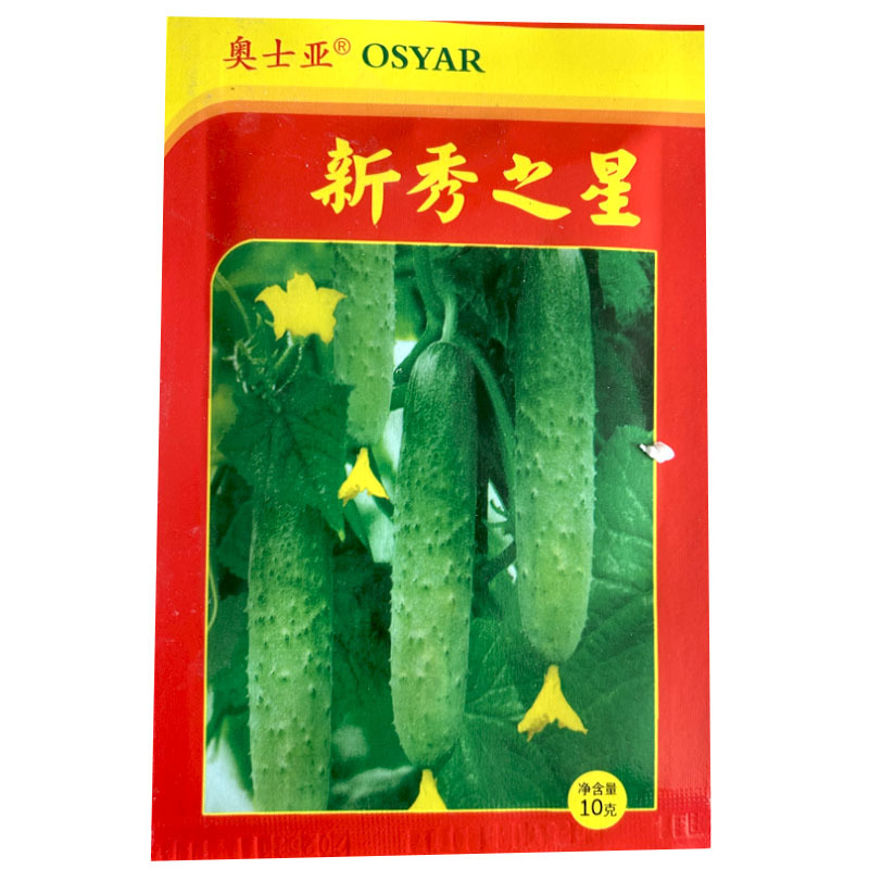 新秀之星旱黄瓜种子强雌型早熟带瓜能力强早春种植