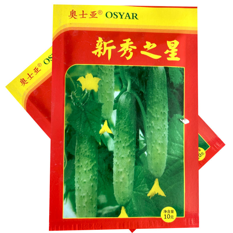 新秀之星旱黄瓜种子强雌型早熟带瓜能力强早春种植