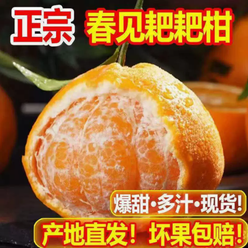 四川春见耙耙柑支持社区团购电商一件代发