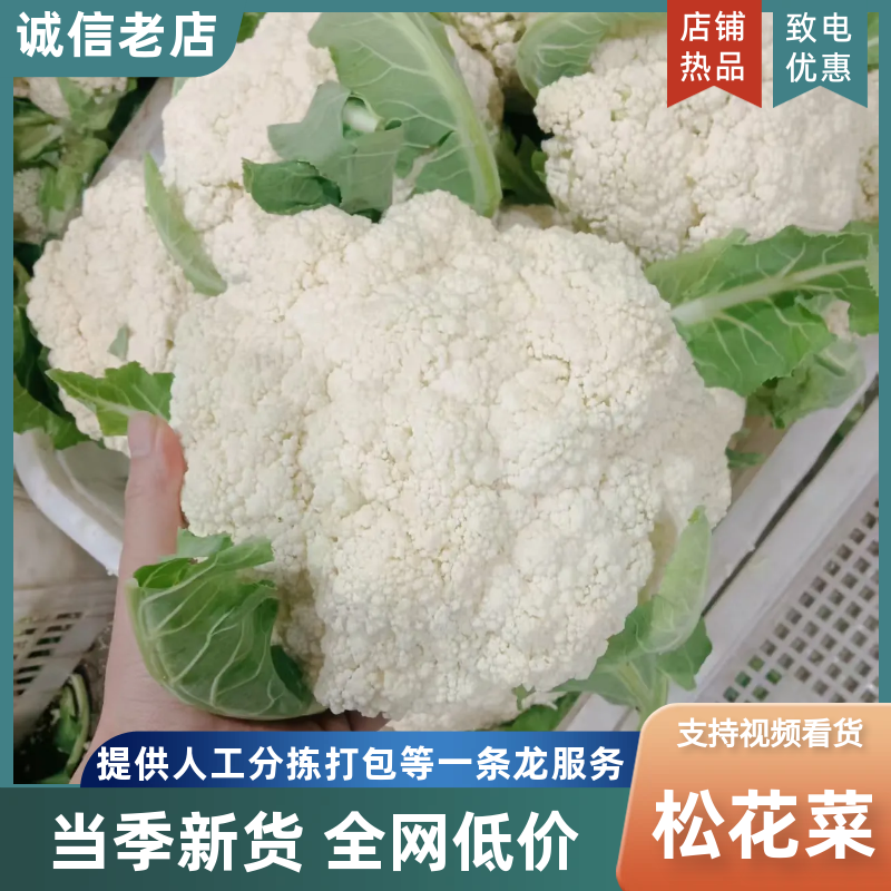 松花菜，散花【视频看货产地直发.诚信代发全国】欢迎采购