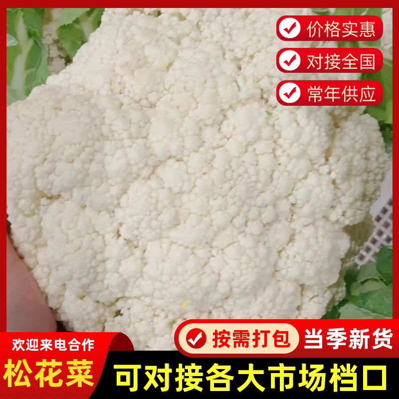 松花菜，散花【视频看货产地直发.诚信代发全国】欢迎采购