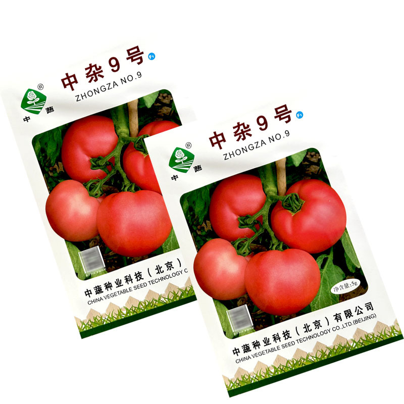 中杂9号番茄种子长势强抗病西红柿正品老品种沙瓤春秋露地大