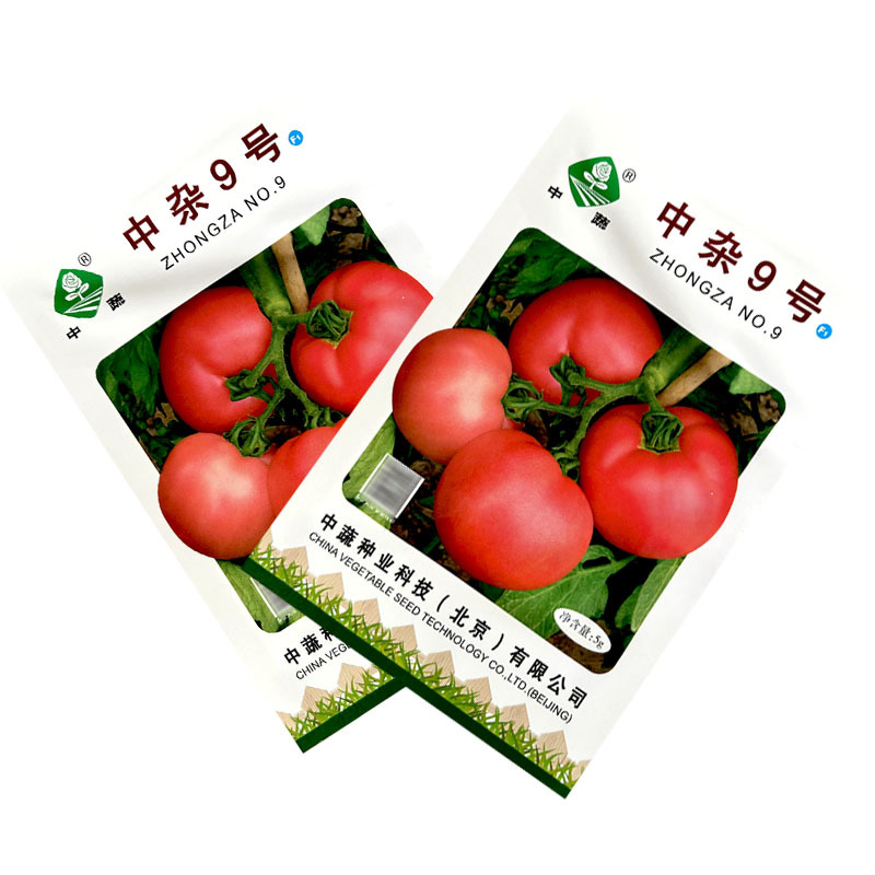 中杂9号番茄种子长势强抗病西红柿正品老品种沙瓤春秋露地大