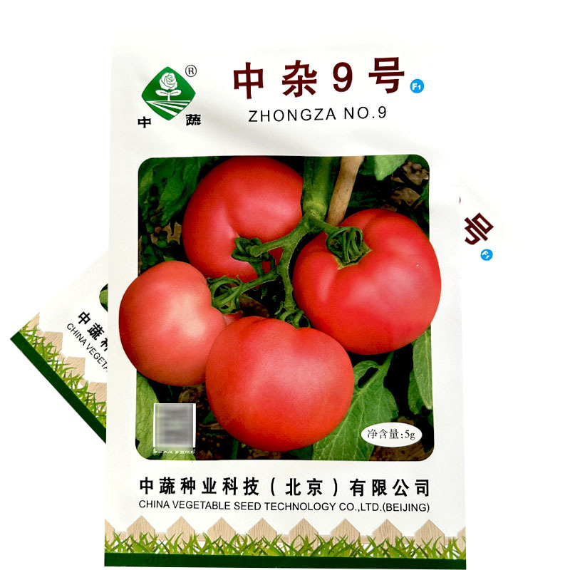 中杂9号番茄种子长势强抗病西红柿正品老品种沙瓤春秋露地大