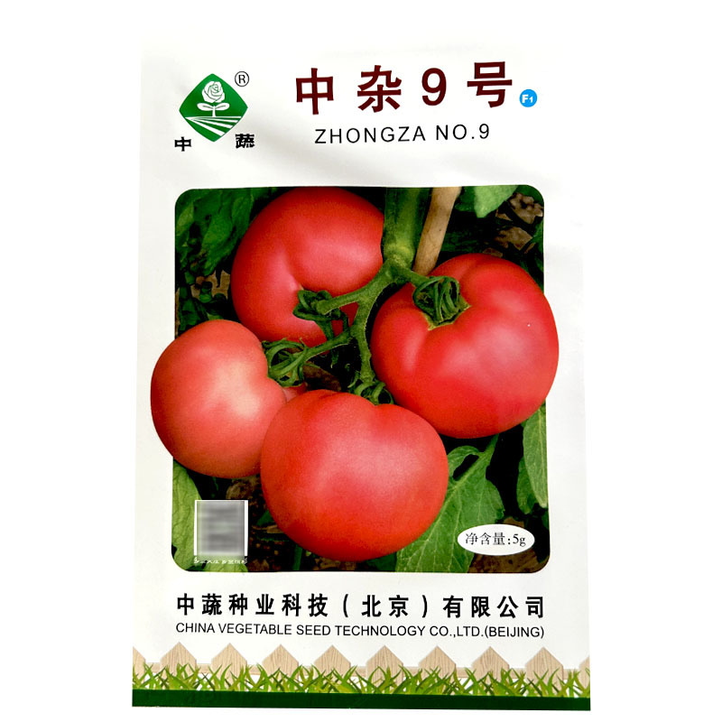 中杂9号番茄种子长势强抗病西红柿正品老品种沙瓤春秋露地大