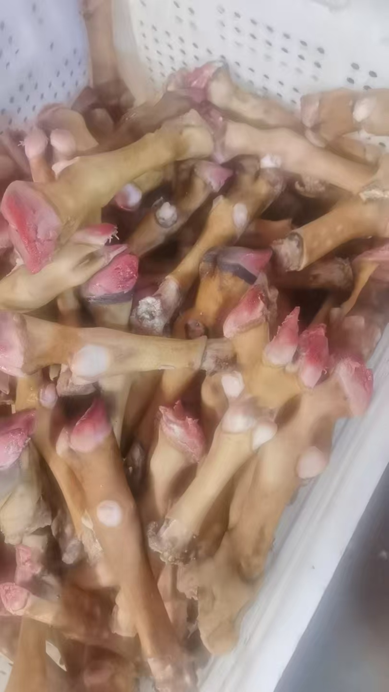 黑花羊蹄，一斤2个，一斤3个的都有质量挺好，欢迎您来采购