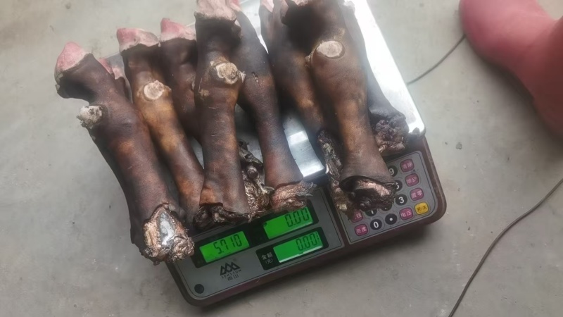 黑花羊蹄，一斤2个，一斤3个的都有质量挺好，欢迎您来采购