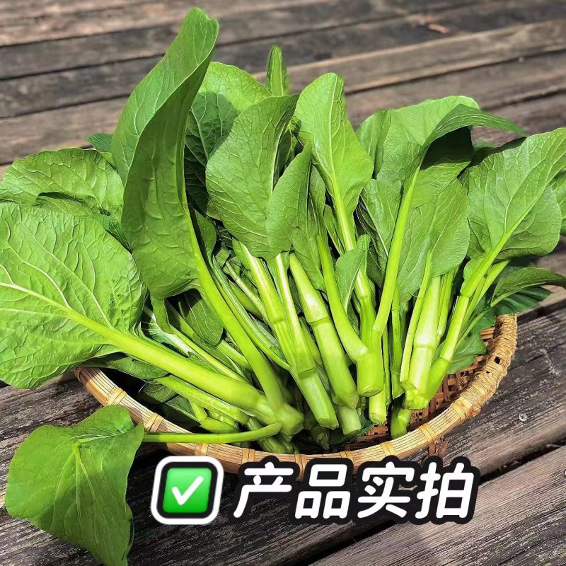 广东菜心基地大量上市对接市场/商超/社区团购/欢迎来电详谈