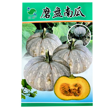 磨盘南瓜种子扁圆南瓜种籽早熟面香甜糯座果多基地用