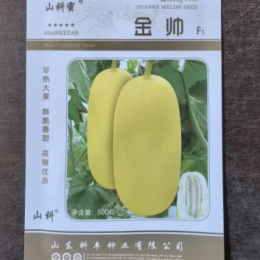 金帅甜瓜种子圆柱形早熟大果高糖长甜瓜种子
