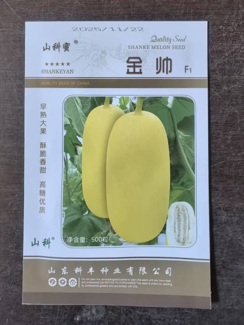 金帅甜瓜种子圆柱形早熟大果高糖长甜瓜种子