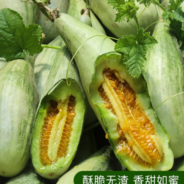 优选基地发货羊角蜜甜瓜对接商超电商货源充足颜色好皮薄肉厚