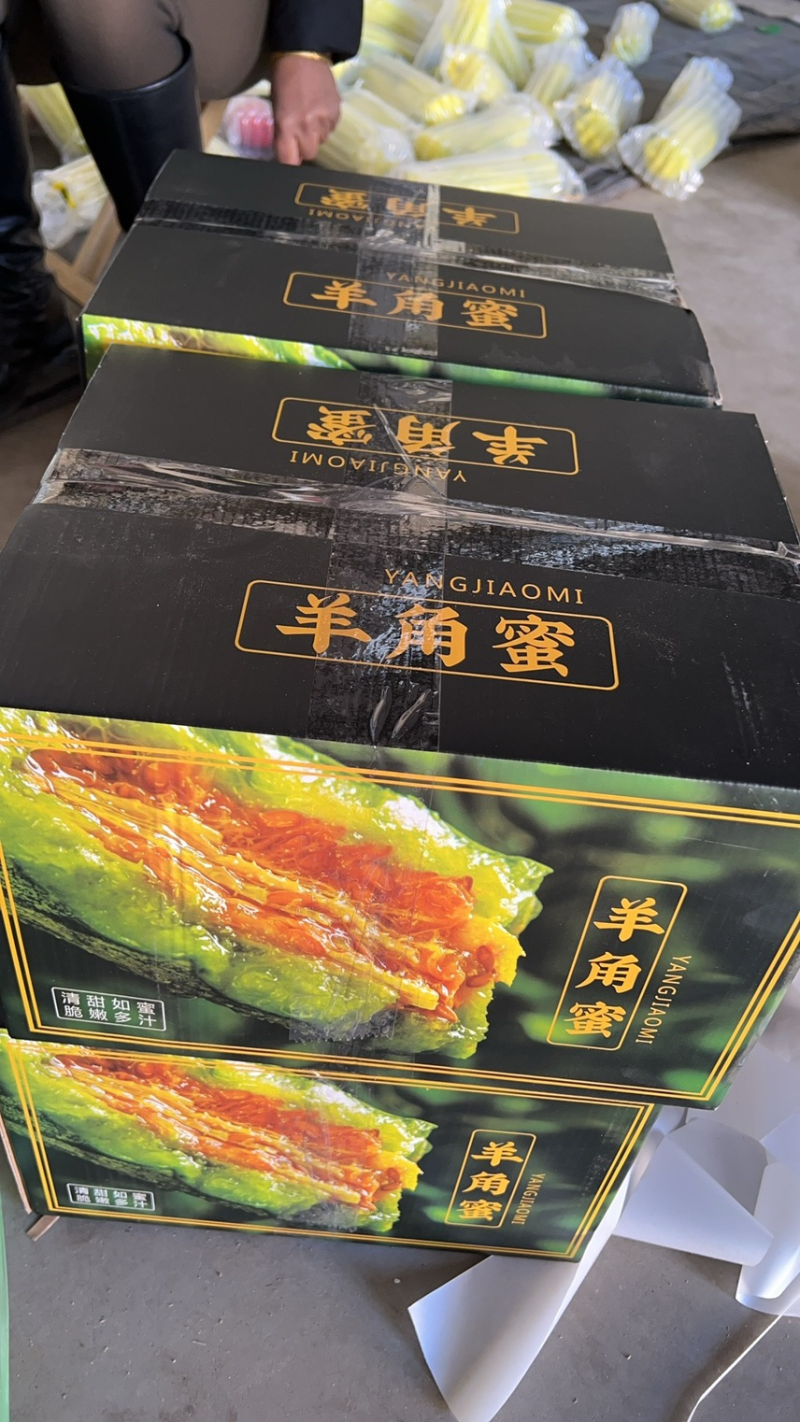 优选基地发货羊角蜜甜瓜对接商超电商货源充足颜色好皮薄肉厚