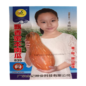 飘香蜜本南瓜种子分枝多甜粉大南瓜种子