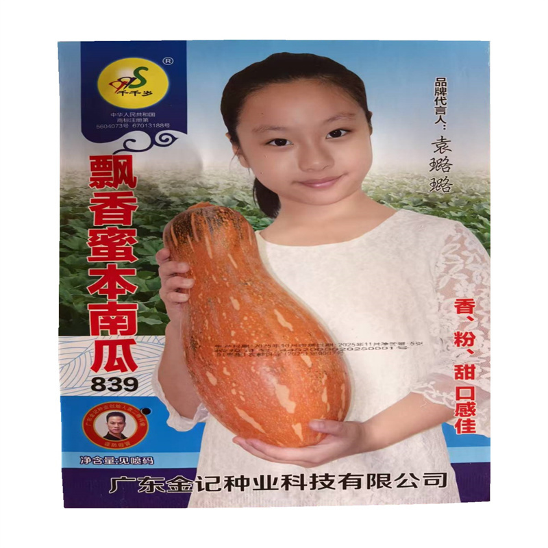 飘香蜜本南瓜种子分枝多甜粉大南瓜种子
