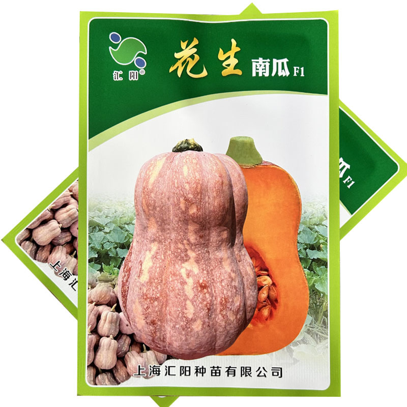 花生南瓜种子软糯香甜板栗味金香南瓜宝宝辅食花生南瓜农家