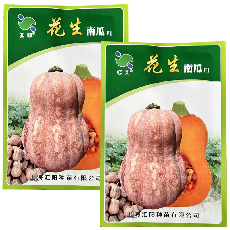 花生南瓜种子软糯香甜板栗味金香南瓜宝宝辅食花生南瓜农家