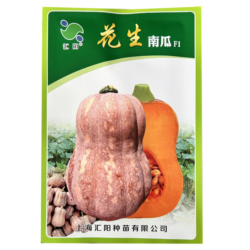 花生南瓜种子早熟软糯香甜农家自种南瓜农家种植