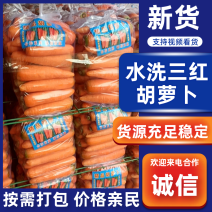 胡萝卜，大量供应，全国代发各大市场，加工厂，超市