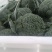 西兰花【湖北天门优质西蓝花】诚信经营，客户至上！