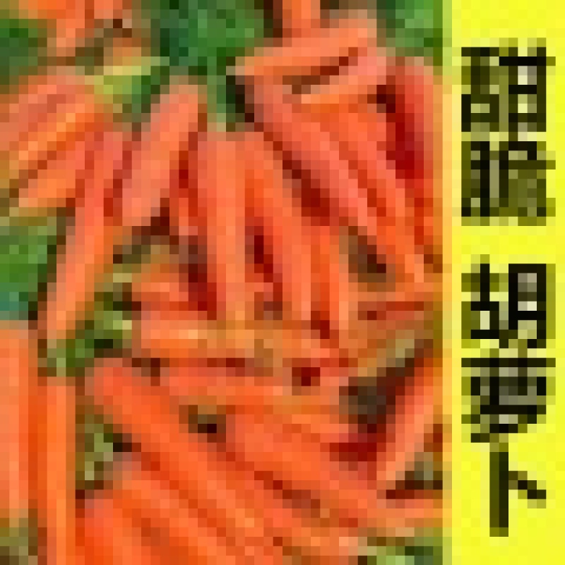 湖北胡萝卜基地规格齐全按需包装对接电商社区一件代发