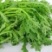 双十二热卖优质茼蒿保质保量欢迎选购电商一件代发社区
