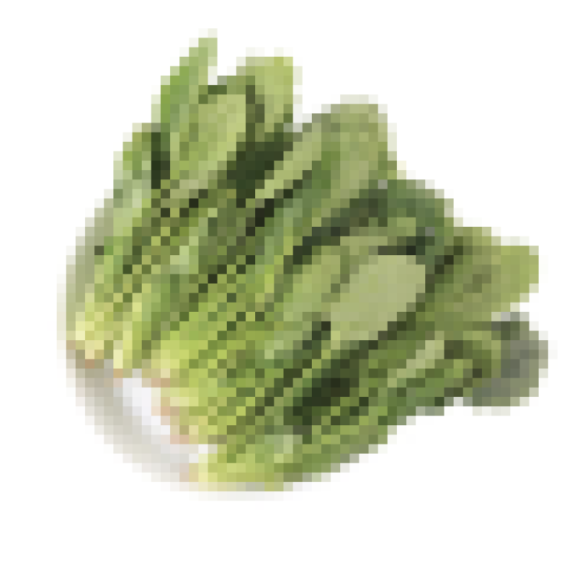 新鲜菠菜价格不贵精品打包大量批发行情价格非常优惠