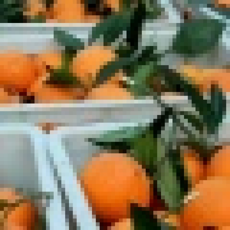【精品】塔罗科血橙肉质细嫩汁水充足对接电商一件代发