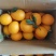 江西兴国橙子/精品赣南脐橙/自家果园种植/量大价优/诚信经营