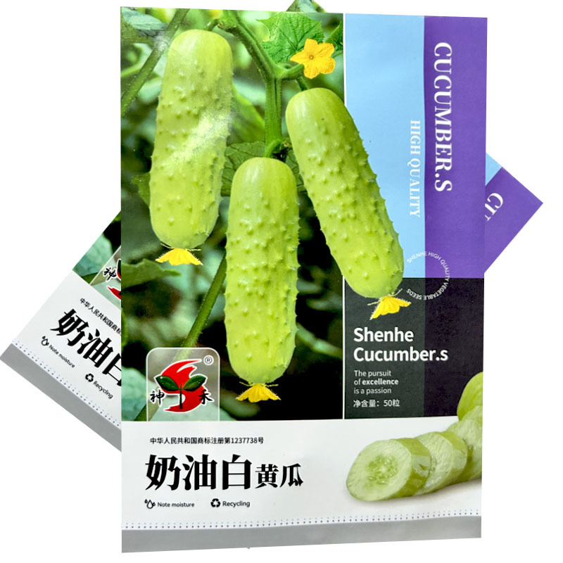 奶油白黄瓜种子强雌型早熟瓜码密耐热耐寒早春露地种植