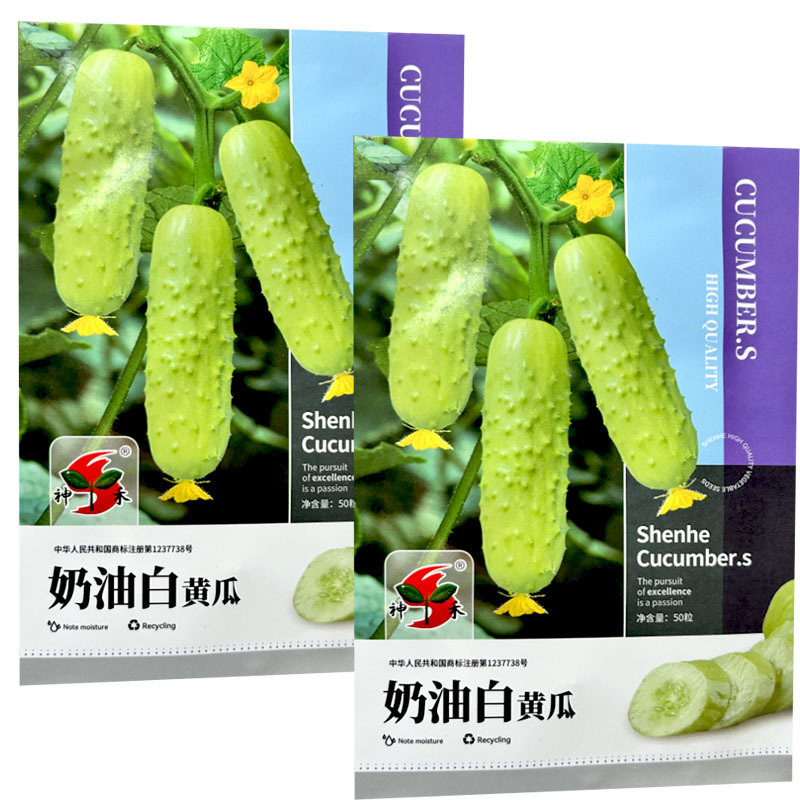 奶油白黄瓜种子强雌型早熟瓜码密耐热耐寒早春露地种植