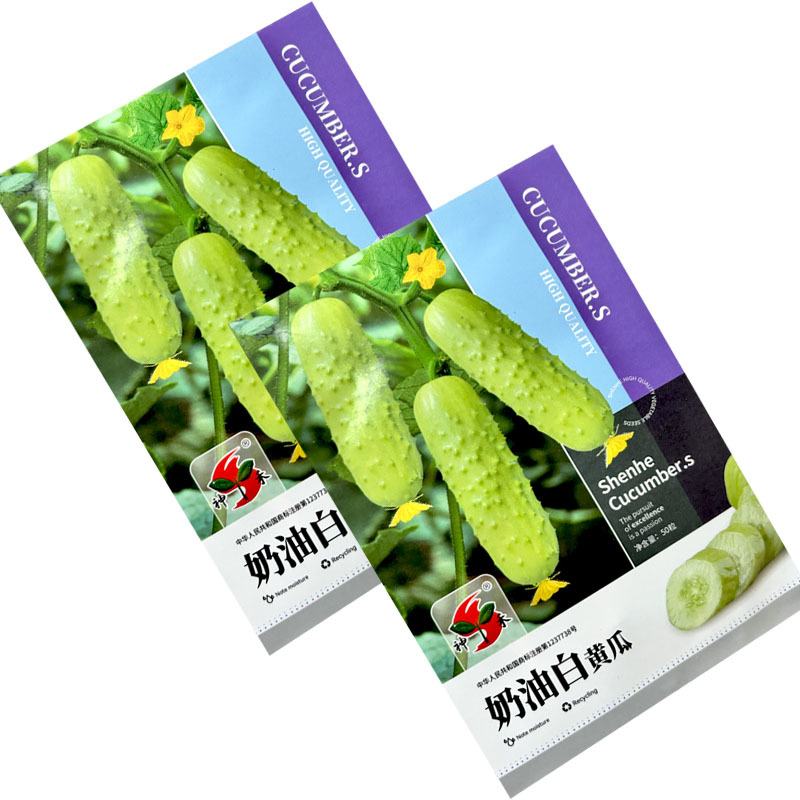 奶油白黄瓜种子强雌型早熟瓜码密耐热耐寒早春露地种植