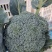 【精选】西蓝花江苏西兰花产地直发对接全国商超市场