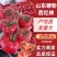 西红柿硬粉西红柿大红西红柿一站式服务对接全国客商
