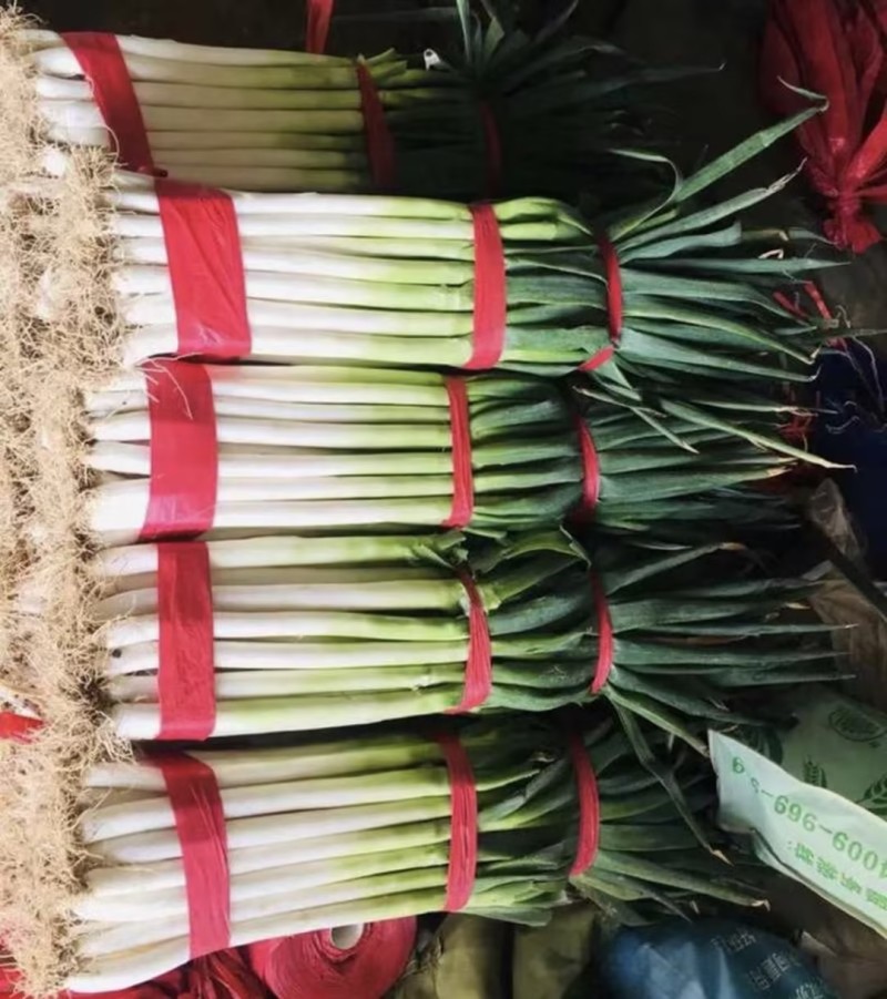 【实力推荐】铁杆大葱产地一手货源，量大优惠可对接全国客商