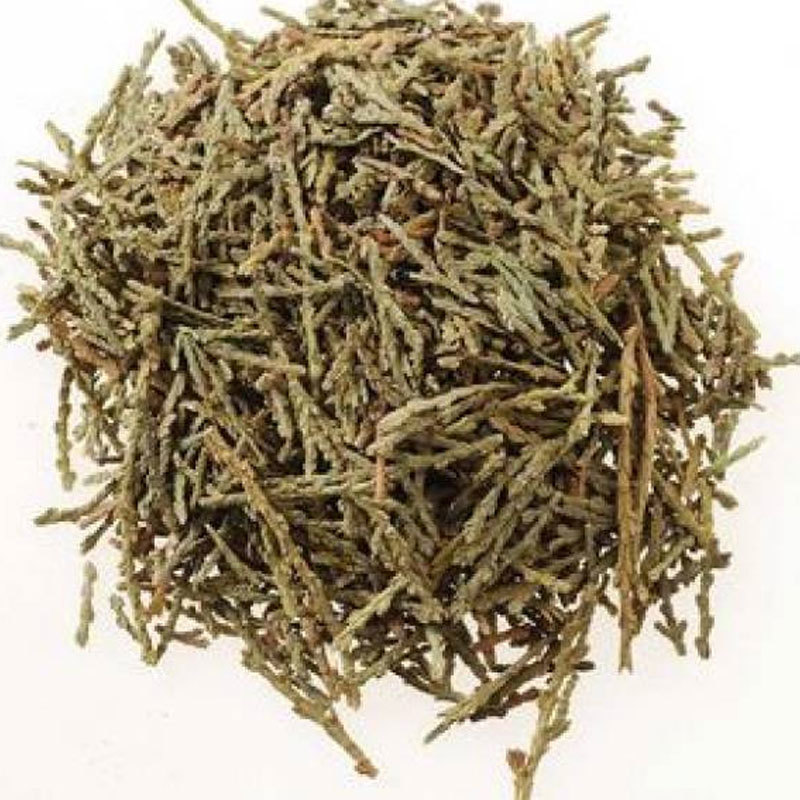 侧柏叶粉一手源头货源现货批发零售量大价优品质保障代发侧柏