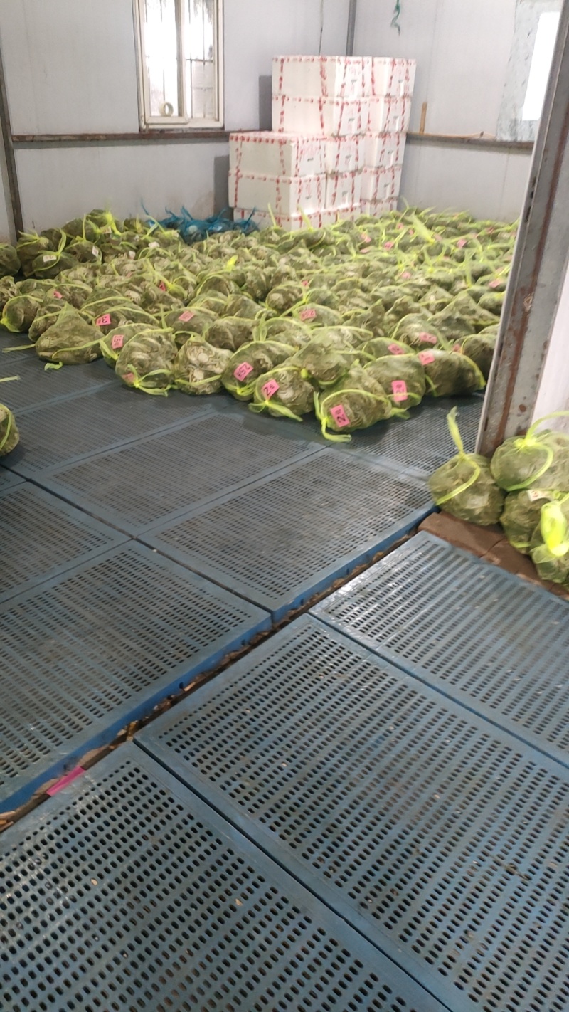 江苏大闸蟹大量供应中对接市场电商规格齐全品质保证欢迎下单订购