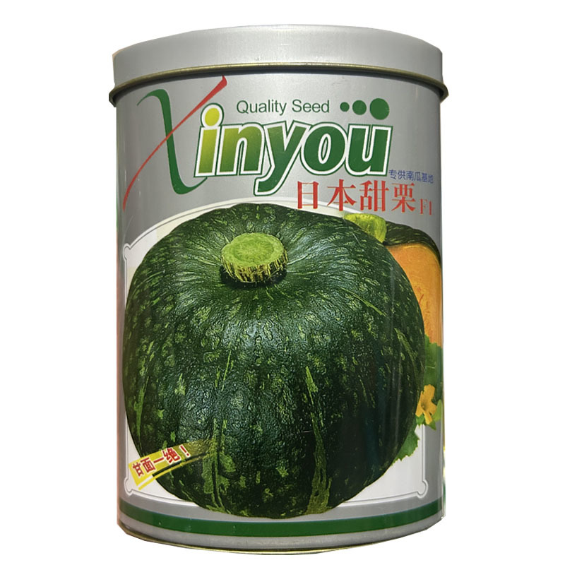 日本甜栗绿板栗南瓜种子早熟扁圆形西洋南瓜种籽绿皮金黄肉南